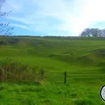 Aux Portes De L'argonne