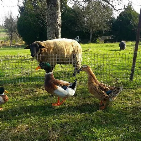 Aux Portes De L'argonne