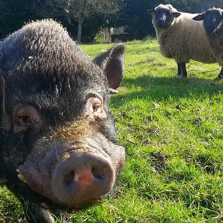 Vakantiehuis Aux Portes De L'argonne *